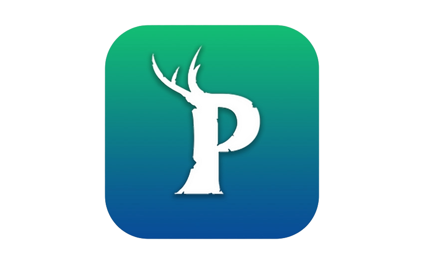 Palworld
